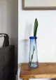 zdjęcie 1