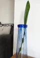 zdjęcie 4